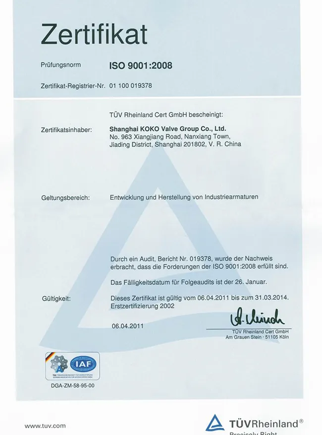 ISO 9001 (3)