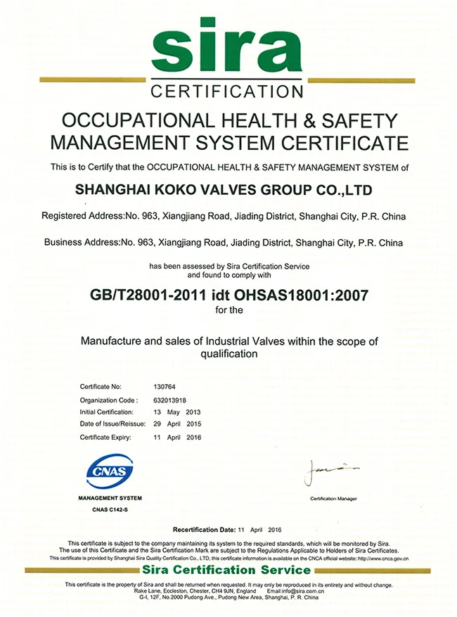 OHSAS (3)